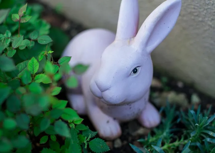 Franceska Ferienhaus *