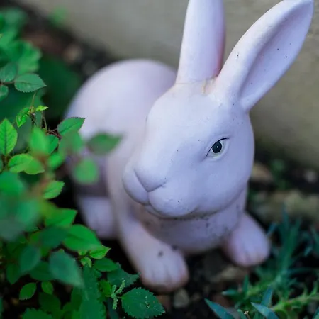 Franceska 度假居 *